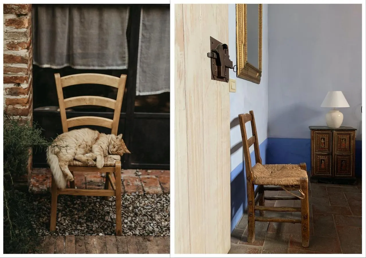 The Lazy Olive Villa - Podere Finerri Asciano Italy