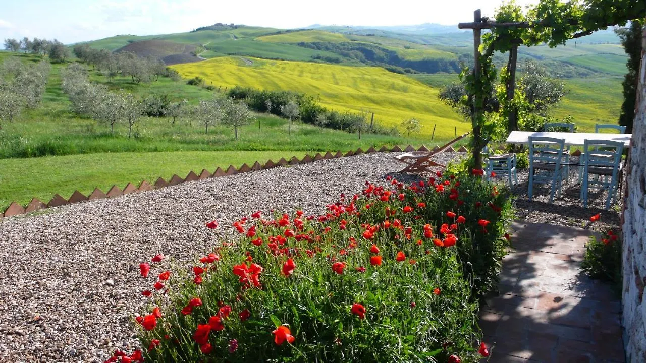 The Lazy Olive Villa - Podere Finerri Asciano