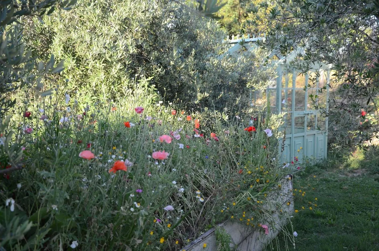 The Lazy Olive Villa - Podere Finerri Asciano