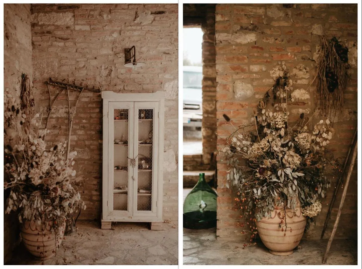 Holiday home The Lazy Olive Villa - Podere Finerri Asciano Italy