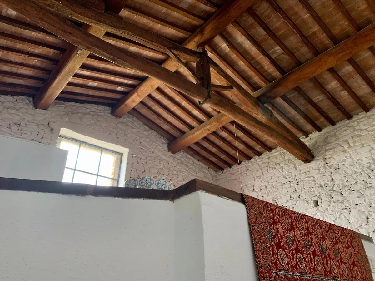 The Lazy Olive Villa - Podere Finerri Asciano Holiday home