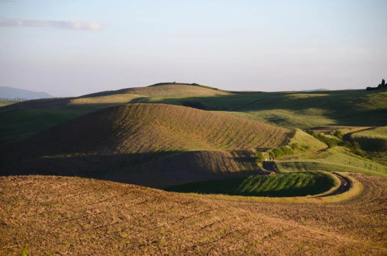 The Lazy Olive Villa - Podere Finerri Asciano 0*,