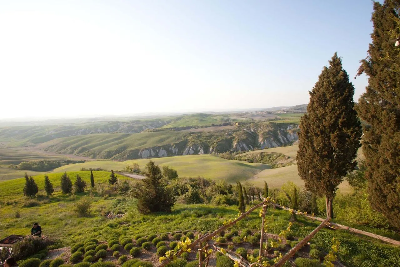 The Lazy Olive Villa - Podere Finerri Asciano