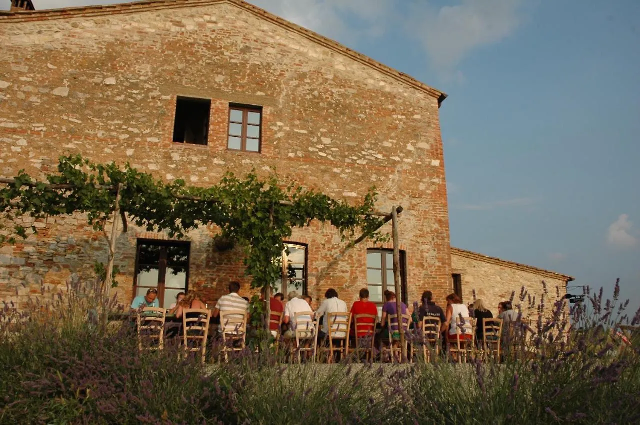 The Lazy Olive Villa - Podere Finerri Asciano Holiday home