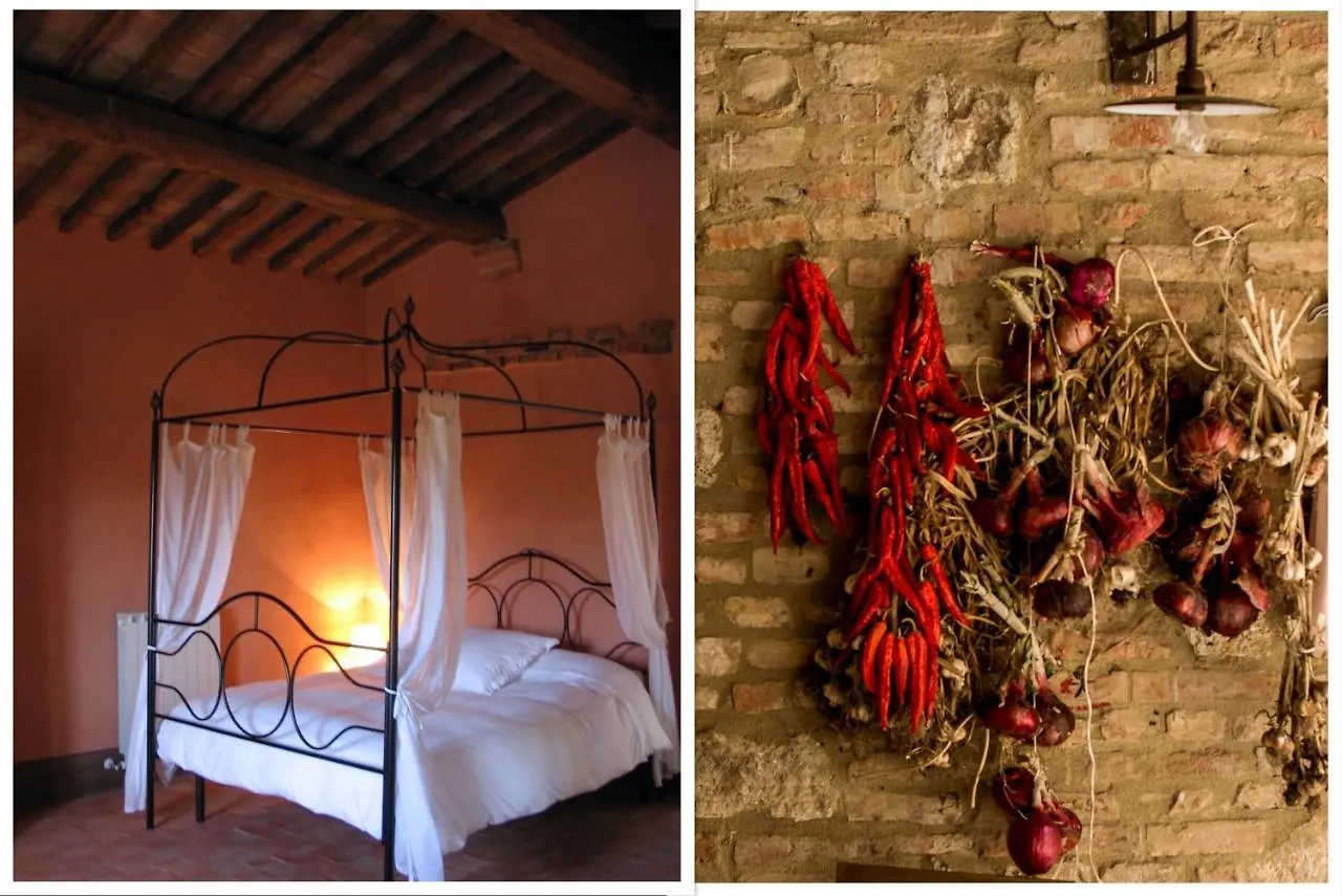 Holiday home The Lazy Olive Villa - Podere Finerri Asciano Italy