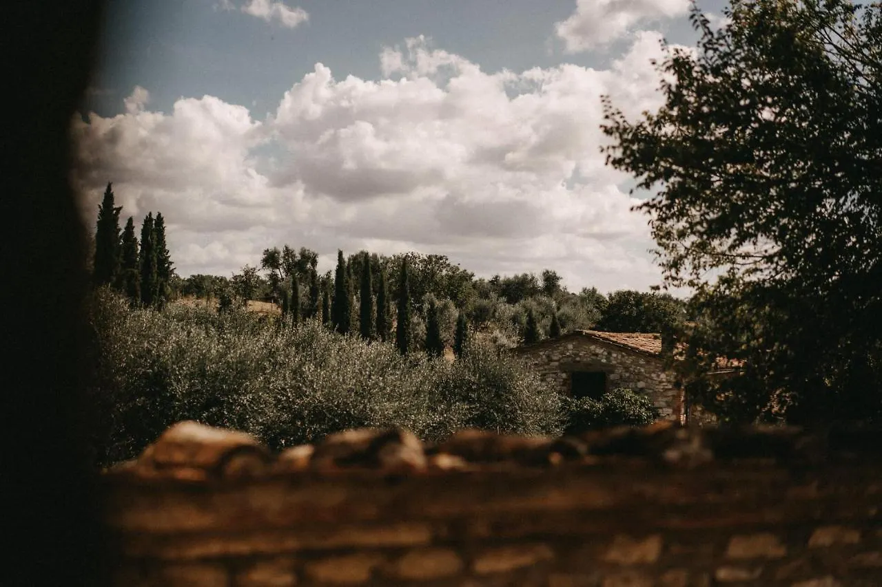 Holiday home The Lazy Olive Villa - Podere Finerri Asciano