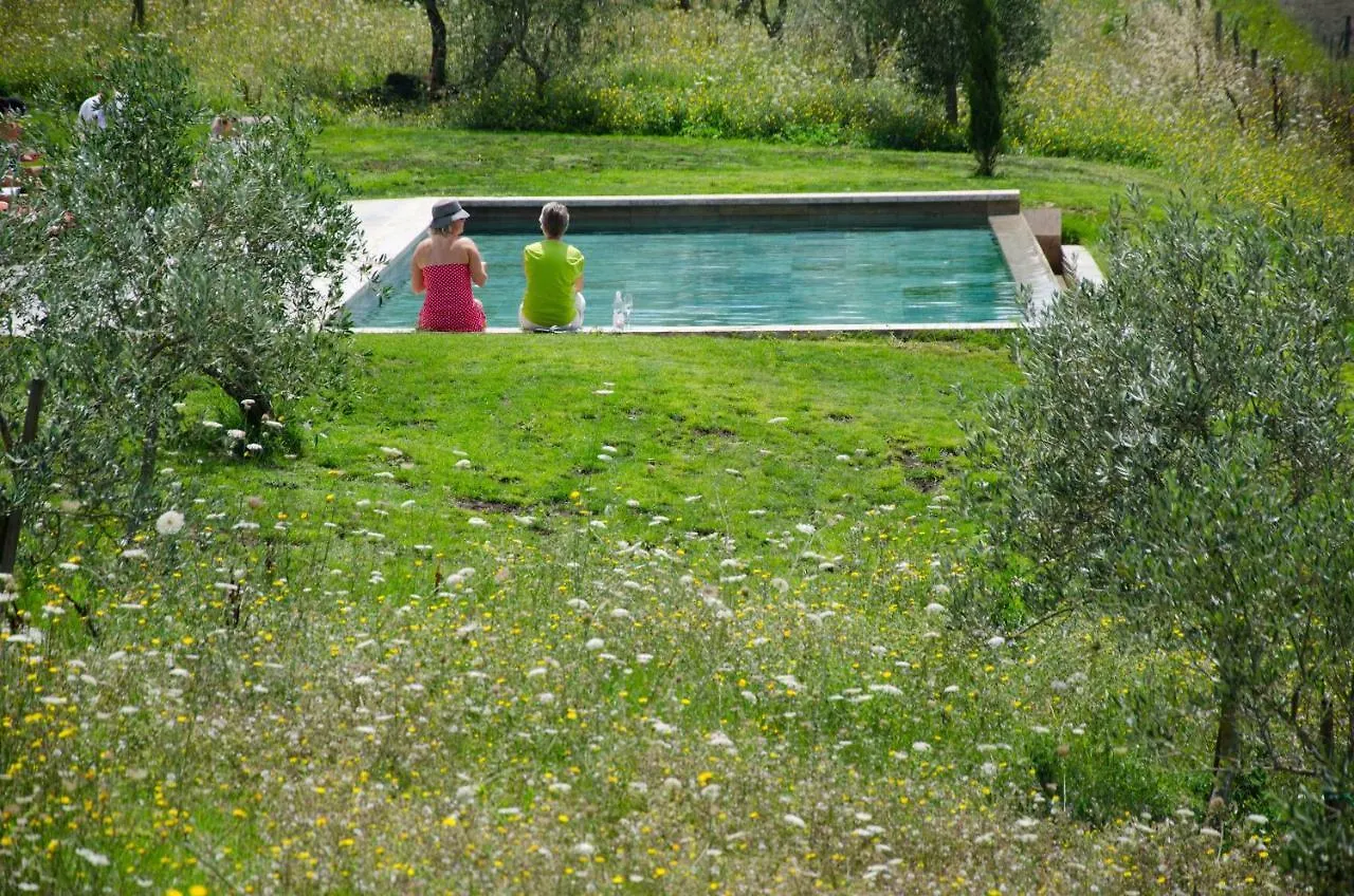The Lazy Olive Villa - Podere Finerri Asciano 0*,  Italy